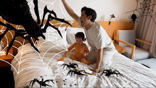 A spider appeared in the hotel 놀러간 호텔에 거미가 나타났다