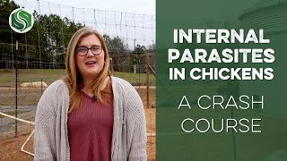 Preventing Internal Parasites in Chickens: A Crash Course