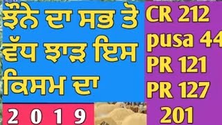 ਫੁੱਲ insurance ਗੱਡੀ ਵਿਕਾਊ ਹੈ ਜੀ। ਤੁਸੀ ਕੇਹੜਾ ਝੌਨਾ ਬੀਜ ਰਹੇ ਹੋ ਤੇ ਉਸਦਾ ਝਾੜ ਕਿੰਨਾ