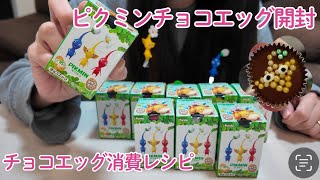 ピクミン チョコエッグ開封！可愛すぎる！？チョコエッグ消費レシピも考えてみた🌱