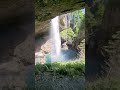 Waterfalls Nature Whatsapp Status