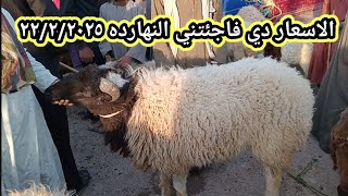 اسعار الماعز والاغنام سوق اسنا سوق السبت ٢٢/٢/٢٠٢٥