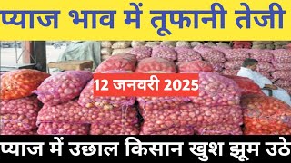 प्याज में तेजी इंदौर मंडी 12 जनवरी 2025 । Indore Mandi Pyaj bhav,aaj ka pyaj bhav#onion_rates_today