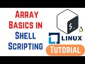 Array Basics in Shell Scripting | Shell Scripting Tutorial for Beginners