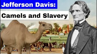 Jefferson Davis: Camels and Slavery