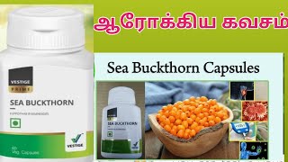 VESTIGE SEA BUCKTHORN BENEFITS | வெஸ்டிஜ் சீ பக்தோன் நன்மைகள்