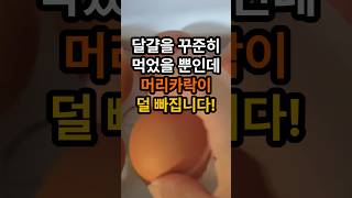 달걀을 꾸준히 먹었을 뿐인데 머리가 덜 빠지네요! 탈모치료, 탈모예방 #탈모예방 #탈모치료 #탈모예방에좋은음식