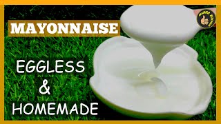 How to make Eggless Mayonnaise in Mixer or Blender | #Mayonnaise Recipe by Food Fusion of Milk & Oil
