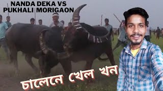 Nanda deka Taptala Vs Pokholi Da Morigaon