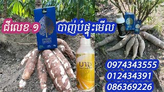 បាញ់បំផ្ទុះមើល 0974343555/012838375/086369226