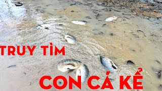 HÚT CẠN AO CÁ 10 NĂM ,TRUY TÌM CON CÁ KỂ-TỰ THỢ RỪNG