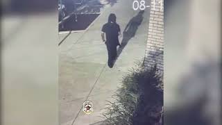 Police Seek Assistance Identifying Homicide Suspect