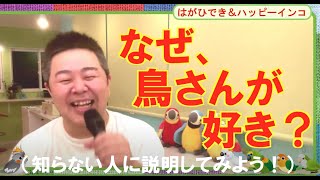 なぜ、鳥さんがすきなの？（知らない人に説明してみよう！）　ハッピーインコ＆はがひでき