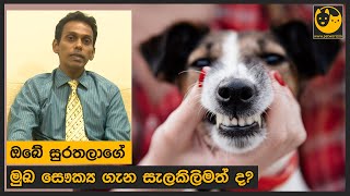 ඔබේ සුරතලාගේ මුඛ සෞඛ්‍ය ගැන දැනුවත්ද?