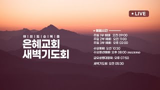 2023.08.28 [예배실황] 새벽예배 | 임규영 목사 | 편안이 아닌 평안