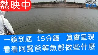 【阿賢爸】愛釣魚 Ep.46 一鏡到底15分鐘也拉好幾隻  真實呈現阿賢爸現場釣魚都在做些什麼    (珠鉤釣法阿賢爸大咬釣組) [半字幕]