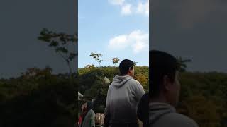 #군포공예문화축제#해와달아코디언 팀의 연주 입니다