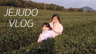 VLOG | 율자매 제주도 n번째 여행 | 아쿠아플라넷 제주,카멜리아힐,헬로키티아일랜드 | 단기임대숙소 김녕로사 | 4박 5일 제주도 여행