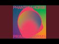 Primal Forms