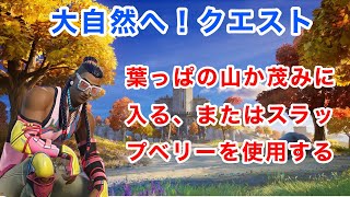 【大自然へ！クエスト】葉っぱの山か茂みに入る、またはスラップベリーを使用する：【FORTNITE】【フォートナイト】