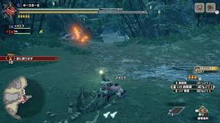 【MH RISE/Switch】ポンコツ爺の狩猟生活 素材集め ＃９狩目【モンハンライズ】【参加OK】