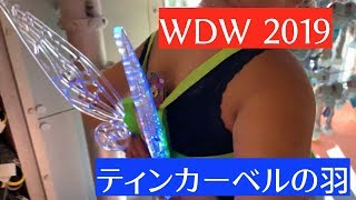 【WDW】ディズニーワールド: あなたもティンカーベル！？