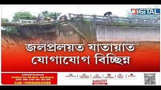 ৰাজ্যত অব্যাহত বানৰ তাণ্ডৱ। ৪০খন গাঁৱৰ ৰাইজৰ এতিয়া যোগাযোগ বিচ্ছিন্ন