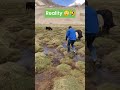 instagram vs reality 🤣😂 beautiful shocking travel explore amazing shorts