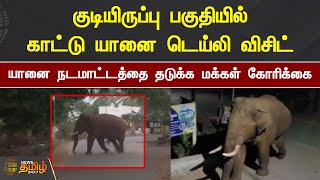 குடியிருப்பு பகுதியில் காட்டு யானை டெய்லி விசிட் | Coimbatore | Elephant | Residential Area