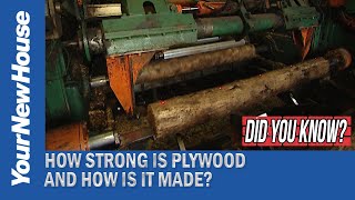 Why Plywood is Strong \u0026 How It's Made - Did You Know?