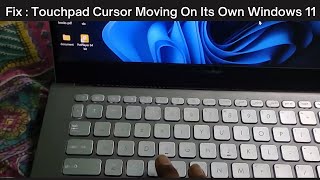 Fix touchpad cursor moving on its own windows 11 / 10 | touchpad cursor moving on its own