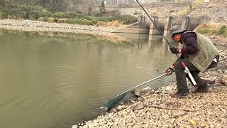 77,  Autumn is a good season for carp fishing   秋天是钓鲤鱼的好季节