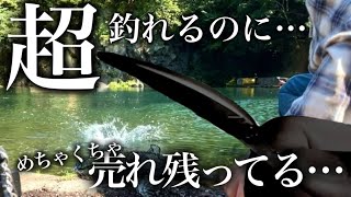 【エリアトラウト】みんなこのミノー使ってる？