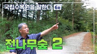 국립수목원을 말한다 6화  [전나무숲, 두 번째 이야기]