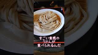 【外出】埼玉県 所沢市「うどきち」ウルトラもち麺