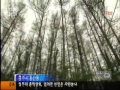 청주mbc뉴스 뉴스투데이 20130613