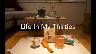 Life in My Thirties l シルクジャスミンとパキラを植え替える