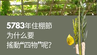 住棚節快樂！為什麼在住棚節搖動“四物”-四種植物呢？