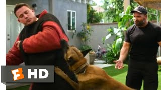 Dog (2022) - Playing With an Attack Dog Scene (6/10) | Movieclips