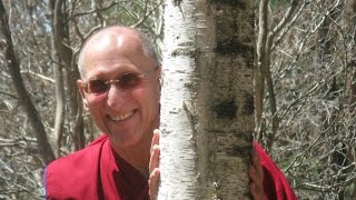 Meditation with Ven. Dr. Barry Kerzin: Mind as an Object