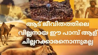 ആരും അധികം ശ്രദ്ധിക്കാത്ത ആടുജീവിതത്തിലെ ഒരു വില്ലൻ| Horned Viper| The Goat Life|Aadujeevitham