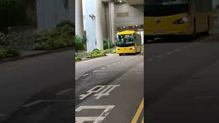 珀麗灣巴士334經過暢達路一號客運大樓 #shorts