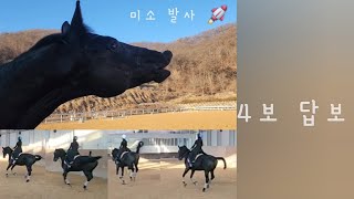 승마 | 구보 | 베니스와 4보답보 | 구보 만곡 | 경속보 | 좌속보 | 박채원 코치님 에이스승마랜드 | 플라잉 체인지 | 마장마술 기승일기 | 직장인취미 승마 브이로그