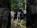 kaha hai tiger 🤨🤨 pench tiger reserve forest episode 3 shorts