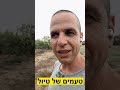 קנה מצוי