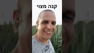 קנה מצוי