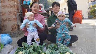 Harvest cauliflower and sell it at the market - save money to raise two small children