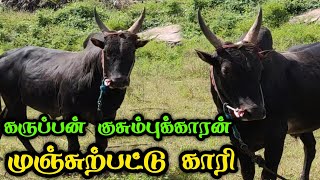 கருப்பன் குசும்புக்காரன் | முஞ்சுற்பட்டு காரி | Vellore Manjuvirattu