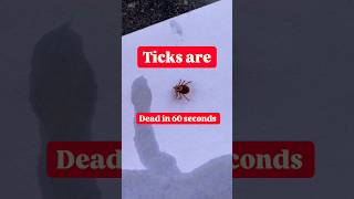 Only took 60 seconds to eliminate that Tick. #natural #pestcontrol #outdoors #tick #diy