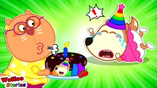 Don't Steal My Birthday, Kat!! - Baby Don't Be Angry ⭐️ Funny Cartoon For Kids @KatFamilyChannel